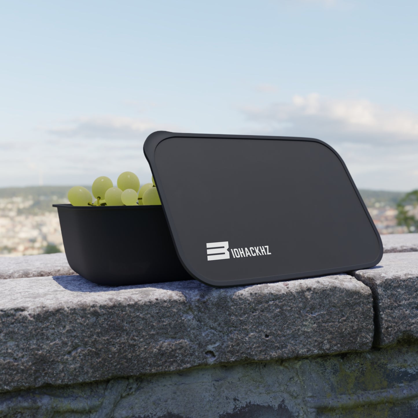 BENTO BOX + UTENSILS